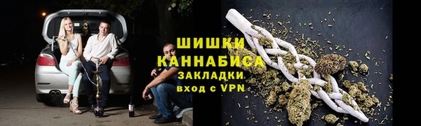 индика Михайлов