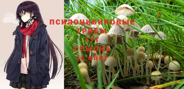 мескалин Мегион
