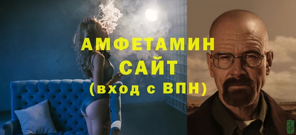 индика Михайлов