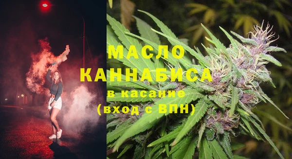 индика Михайлов