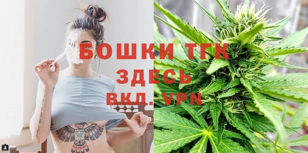 индика Михайлов