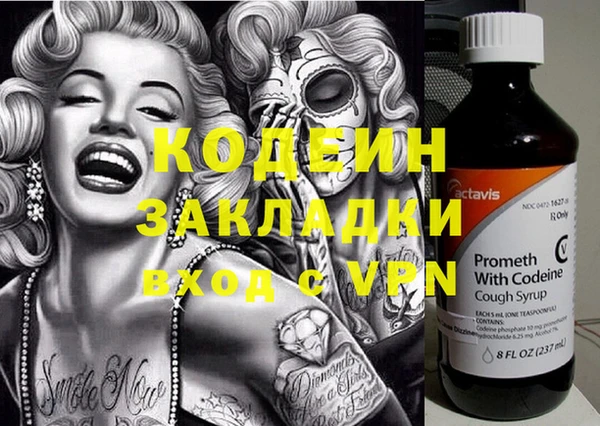 индика Михайлов