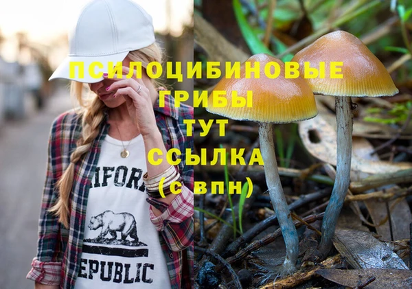 индика Михайлов