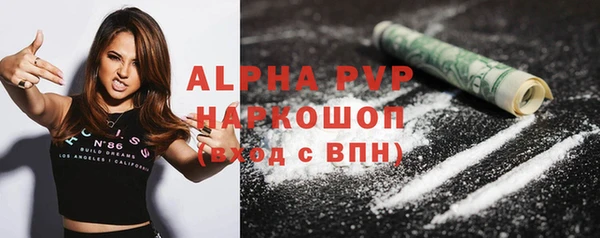 индика Михайлов