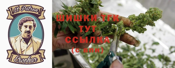 индика Михайлов