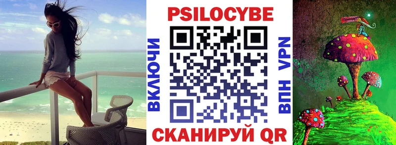купить наркотик  Ядрин  Галлюциногенные грибы Cubensis 